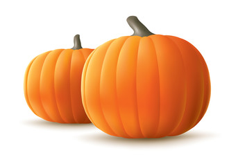 Pumpkins in white background