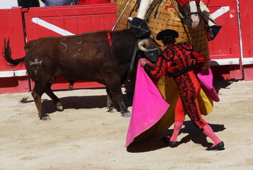 corrida