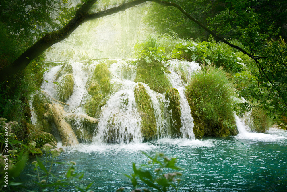 Canvas Prints waterfall in deep forest