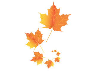 Naklejka na ściany i meble Autumn leafs illustration