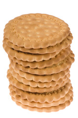 Biscuit