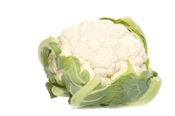 cauliflower on a white background