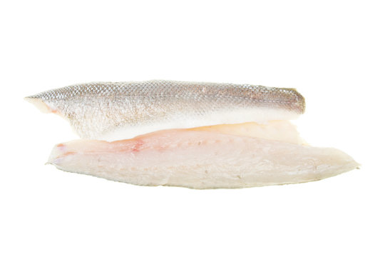 Sea Bass Fish Fillets