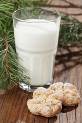 Milk and cookies for Santa