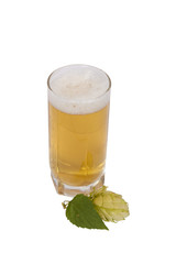 Beer in glass with hop cones isolated on white