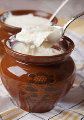 Homemade fermented milk