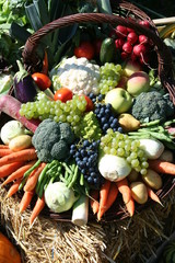 Obst-Gem&uuml;se-Mix