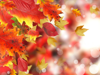 Autumn background
