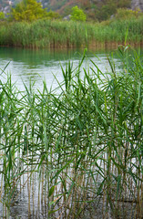 Obraz premium Lake