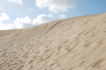 Paisaje de dunas