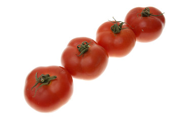 Tomatoes