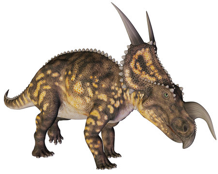 einiosaurus charge