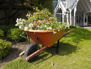 Wheelbarrow with garden refuse