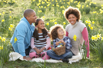 Fototapeta premium Family Relaxing In Field Of Spring Daffodils