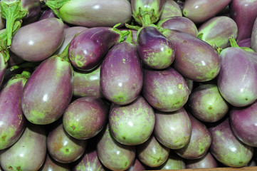eggplant in the markets