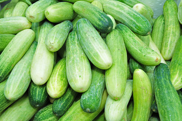 green cucumber in the market