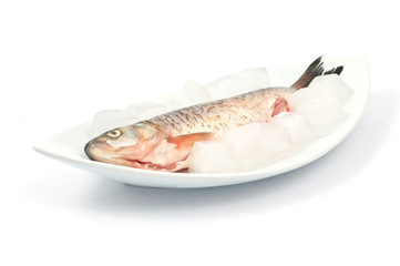 Frozen fish