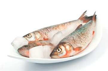 Frozen fish