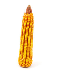yellow corn