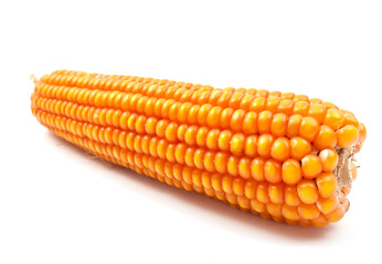 yellow corn