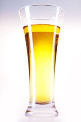 beer mug
