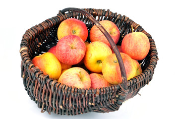 Le panier de pommes