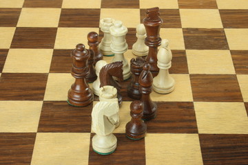 Schachbrett 8