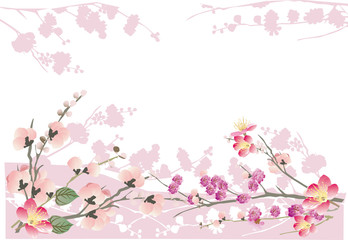 pink sakura frame on white