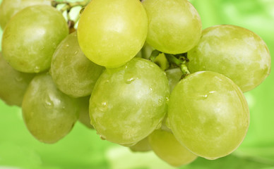sweet ripe grapes