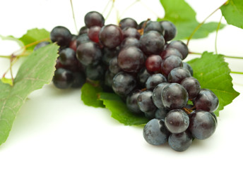 Bunch of grapes on white background