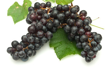 Bunch of grapes on white background