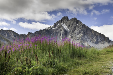 Parque nacional de La Vanoise