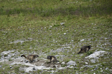 Parque nacional de La Vanoise