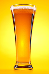 beer glass