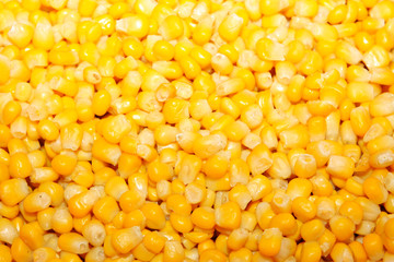 cooking ingredients-corn