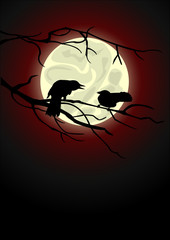 Crows