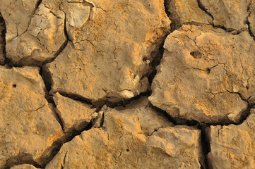 Trockenheit