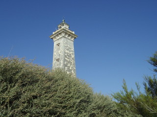 Le phare sorti d'un buisson