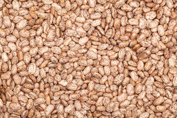 Food Ingredients - Pinto Beans