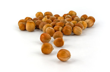 hazelnut