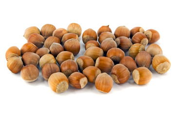 hazelnut