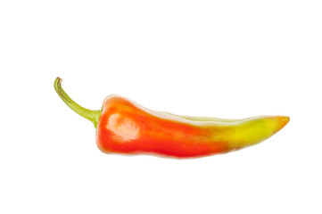 Pepper on white background