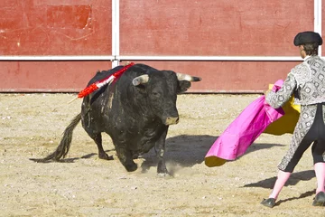 Wall murals Bullfighting Matador and bull in bullfight. Madrid, Spain.