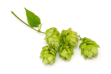 hop