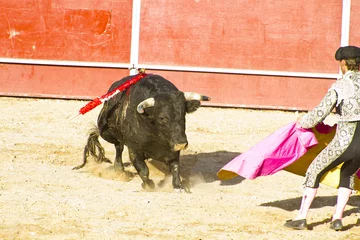 Photo sur Plexiglas Tauromachie Matador et taureau en corrida. Madrid, Espagne.