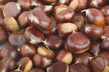 Castagne