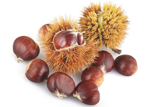 Castagne