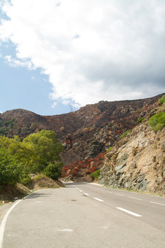 montagne corse apr&egrave;s incendie
