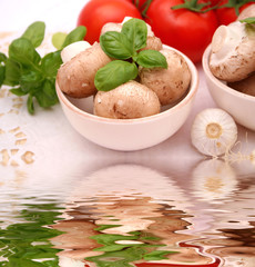 Braune Champignons