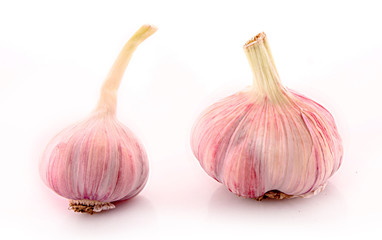 Garlic isolated on white